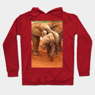 Affectionate Playmates: Baby Elephants Hoodie